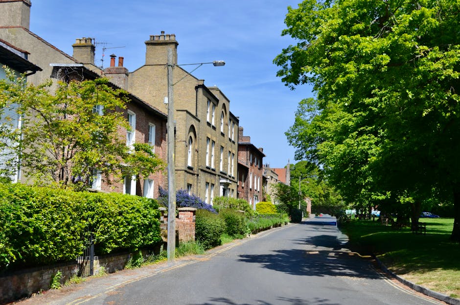 A quiet residential street in Dulwich Village, with a row of historic brick houses featuring tall chimneys and bay windows on the left side. The houses are surrounded by well-maintained gardens with lush green bushes, small trees, and flowering plants. A grey utility pole with a street lamp stands near the curb, which has a smooth asphalt surface. On the right side, there are large, leafy trees providing ample shade, with their branches extending over the pavement. The scene is illuminated by bright daylight, with clear blue skies overhead, suggesting a calm and pleasant day. This environment exemplifies the typical setting for home relocations, where furniture and packing materials might be transported through the street, possibly coordinated by Dulwich Removals, a professional team specializing in house removals and logistics within the SE21 area. The street appears calm with no vehicles or moving equipment visible at this moment, emphasizing the typical neighborhood ambience during a relocation process.